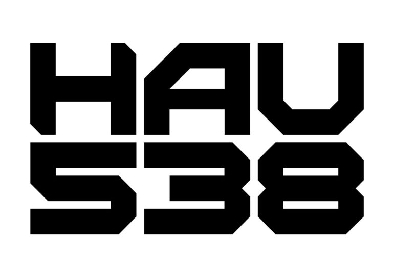 HAU538, Mexican Digital Art Studio, seeks to promote digital art within the Web3 with low-cost NFTs.